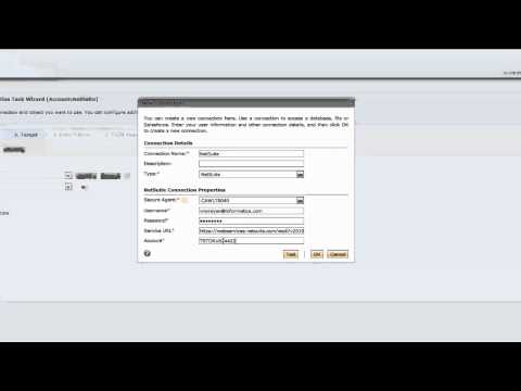 Informatica Cloud Data Loader for NetSuite