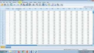 Exploratory Factor Analysis through SPSS