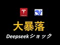 テスラ株　NVDA大暴落！一体何があったのか　Deepseekの衝撃