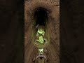 Micro Camera on a Burrowing Toad Enters Hidden Underground Nest  Real POV