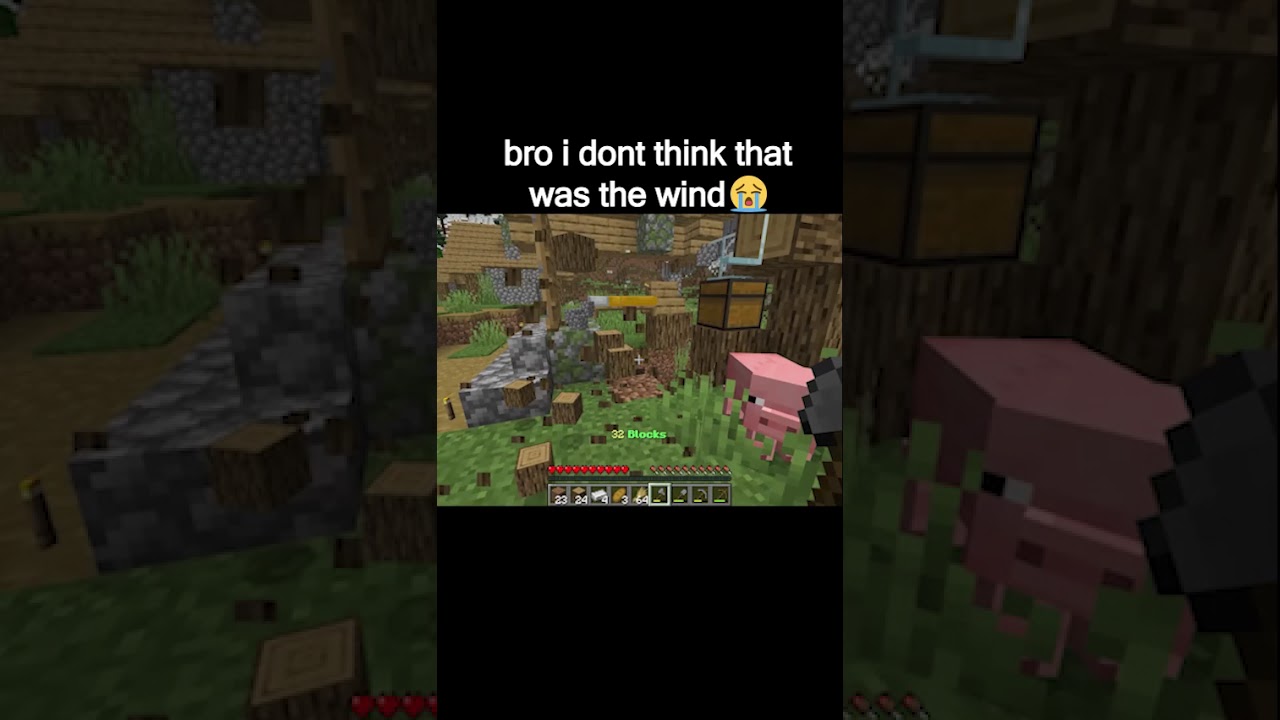 bro i dont think that was the wind 😭🐷