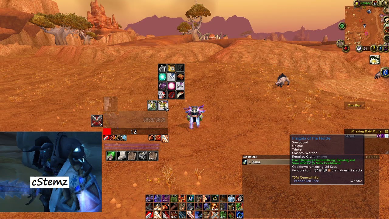 Auto Popping and Swapping Trinkets with Item Rack Wo W Classic