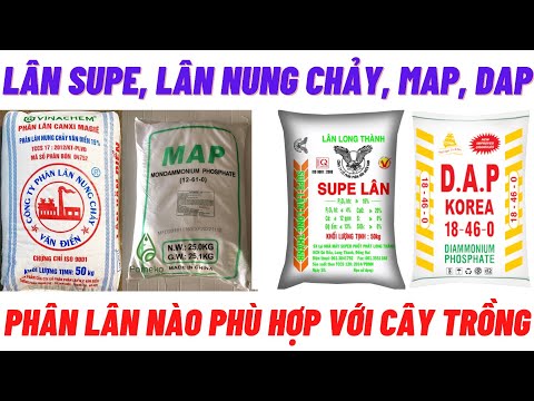 Video: Phân Lân: Nó Là Gì? Các Loại, Sản Xuất Và ứng Dụng. Phân Lân được Xếp Vào Loại Phân Nào Và Dùng để Làm Gì?