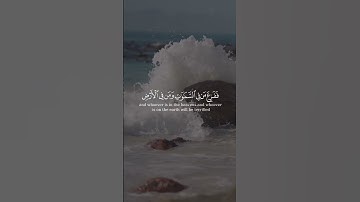 ألم يروا أنَّا جعلنا الليل ليسكنوا فيه و النَّهار مُبصِراً من سورة النمل بصوت الشيخ عبدالرحمن شوكري