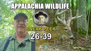 Sneak Peek of Next Weeks 2026-39 Appalachia Wildlife Video #shorts