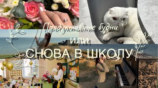 видео: День из жизни учителя 🫶🏻✨/ Практика с психологом ❤️🔥//Немного домашнего уюта 🥛🍪🧸 картинка: День из жизни учителя 🫶🏻✨/ Практика с психологом ❤️🔥//Немного домашнего уюта 🥛🍪🧸