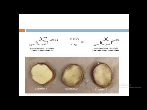 Video: Apa perbedaan pencoklatan enzimatis dan nonenzimatik?