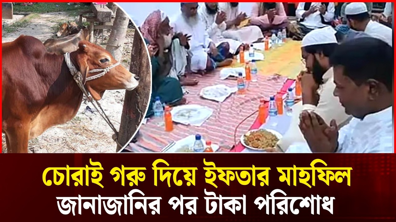 চোরাই গরুর ইফতার মাহফিল! জানাজানি হতেই টাকা পরিশোধ | Stolen Cow Iftar Scandal | Durbin News