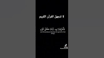 القرآن الكريم بصوت الشيخ ياسر الدوسري #المصحف #اكسبلور #القرآن_الكريم