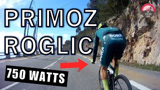 Primož Roglič VS AMATEUR CYCLIST  CLIMBING SESSION (WITH POWER DATA)