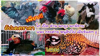 อัปเดตราคาสัตว์ปีก สัตว์เลี้ยง จตุจักร มีนบุรี ร้านอันดามัน นกสวยงาม จัดส่งได้ทั่วประเทศ