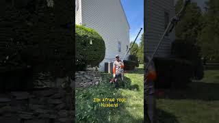 Satisfying Gardening Work🌳#garden #satisfying #cleaning #grass #lawn #viral #fyp #trending #811