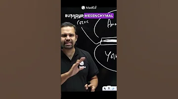 Is Mesenchyme In A Situation Ship Mbbs Neetpg Pwmeded 