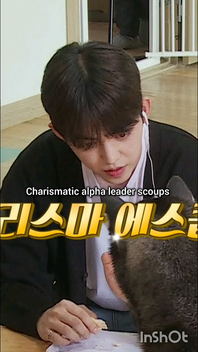Everyone has to obey the alpha leader Scoups 😂 #seventeen #kpop #shorts #trending