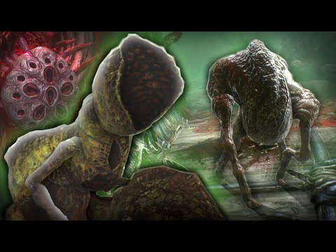 Descending Into the Alien Hive || SCORN #2 (Playthrough)