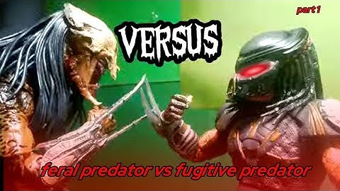 FERAL PREDATOR VS FUGITIVE PREDATOR PART1