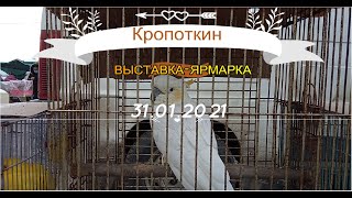 31.01.2021. Птичий рынок г. Кропоткин.