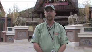 Denver Zoo Toyota Elephant Passage Schoelzel Family Village Story Video