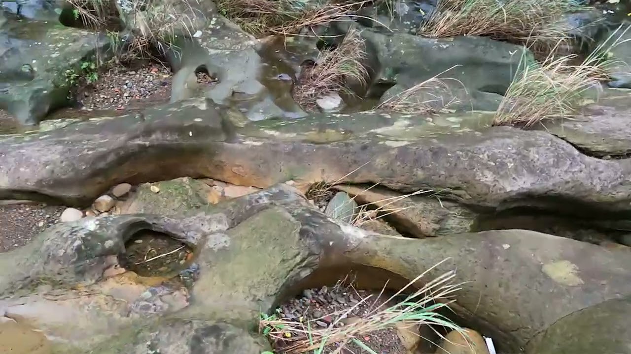 TaiwanTrip2025大華壺穴