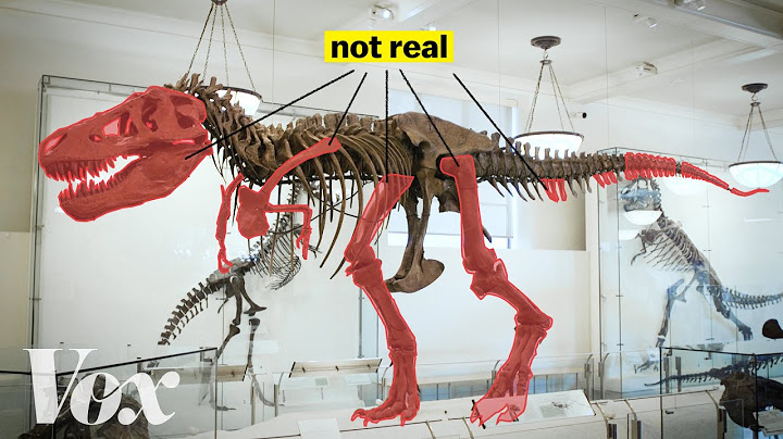 How scientists solved this dinosaur puzzle
