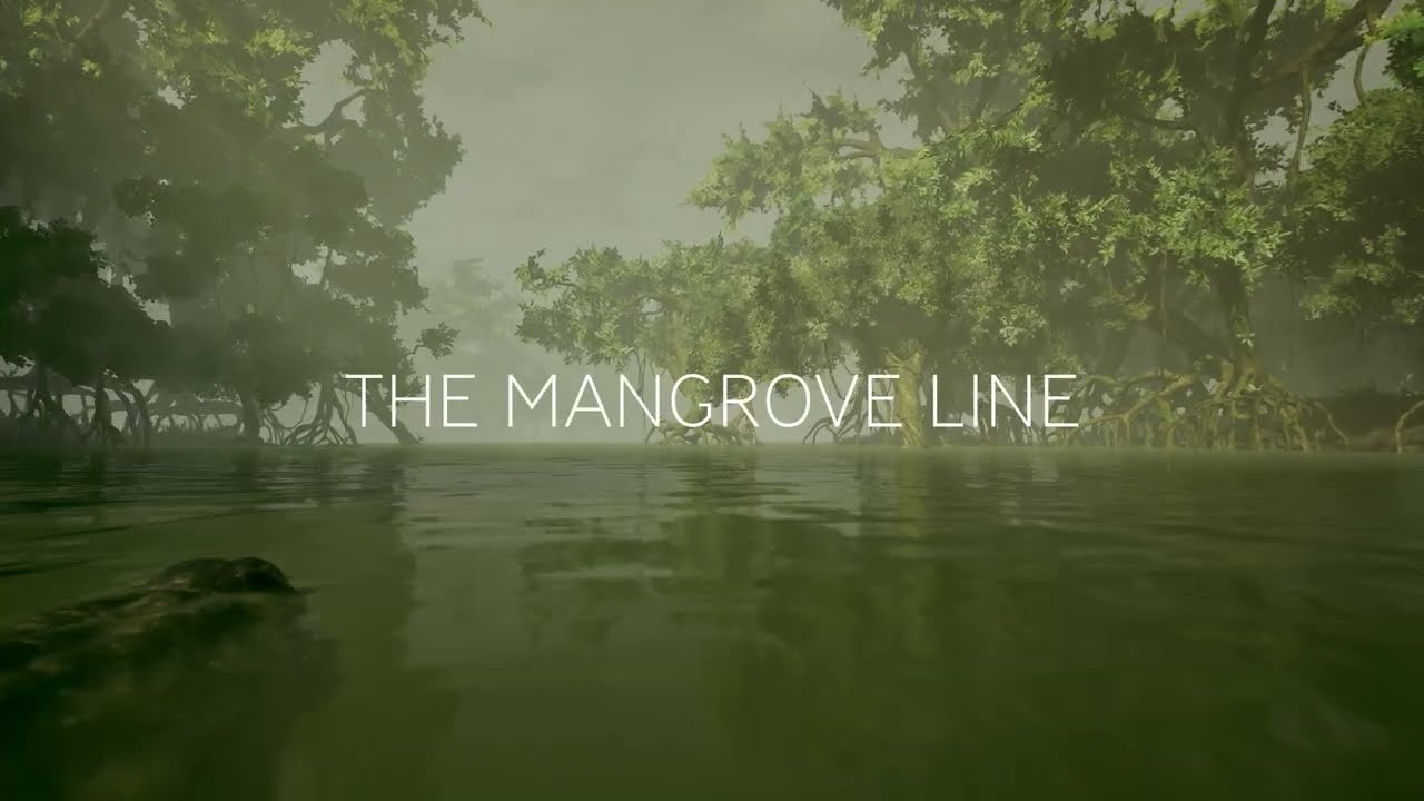 The Mangrove Line Trailer – Davide Just