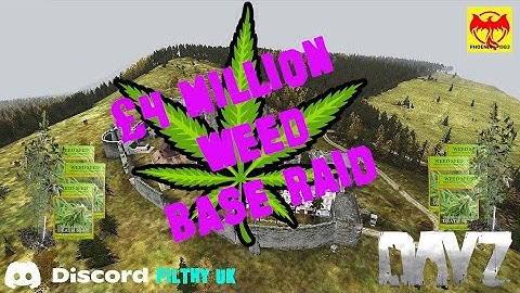 DayZ £4 million Weed Base Raid