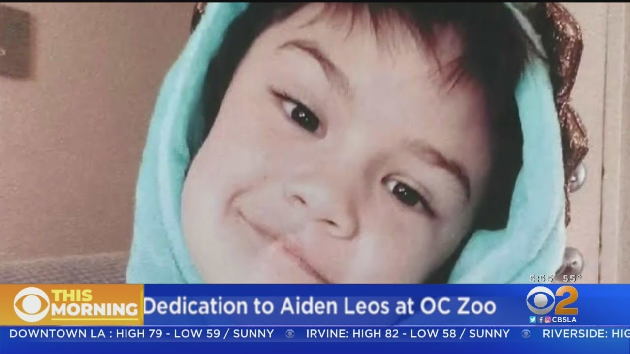 Aiden Leos, Boy Killed In Road Rage Shooting, To Receive Plaque At ...
