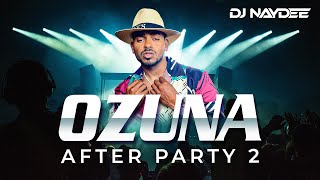 Ozuna Mejores Canciones Mix 2021  2017 | Tiempo, Despeinada, Taki Taki | After Party 2   Dj Naydee