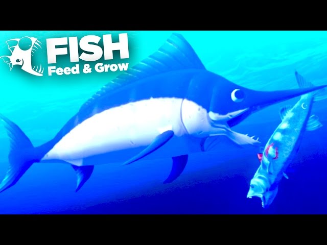 THE SWORDFISH IS AMAZING - New Feed and Grow Fish Update! - Part 22