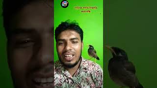 শালিক পাখি শিকারি করতেছে #abib #abf #baya #baya #আম #banga