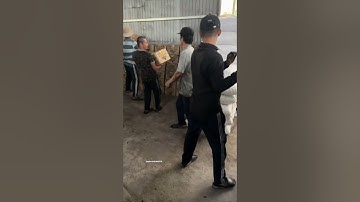 Than nướng BBQ sạch 100% từ thiên nhiên không hóa chất độc hại