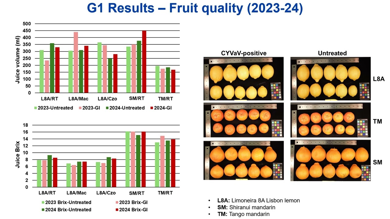 Citrus Yellow Vein-associated Virus (CYVaV): Highlights from a California Field Trial