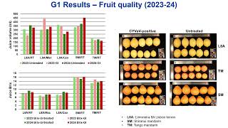 Citrus Yellow Vein-associated Virus (CYVaV): Highlights from a California Field Trial Wealth