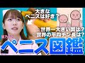 【世界のペ◯ス】世界の平均チン長と世界最大級の巨チン国は？やっぱり大きさは重要？