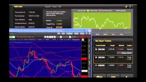 Hedging Strategy Using Binary Options