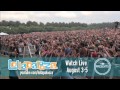 What Lolla Looks Like