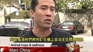 [拯救海外受虐狗] 洛城18台晚間新聞12032015