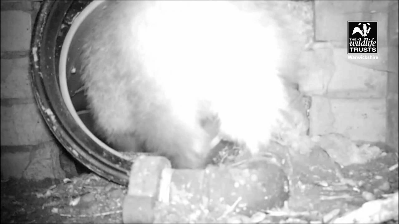 camera iphone 8 plus apk Coventry Golf Club - AR for Spring 2015 Magazine