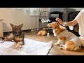 【チャーリー番外編】ベーコン家を思う存分に楽しんだコミュ力高めのモナです