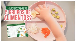 🌾🥣👶 CEREALES para BEBÉS: PAPILLAS, BIBERÓN, BLW¿Cuál es la