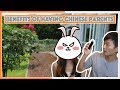 Benefits of having Chinese parents | Chinese parents sacrifice too much for their kids
