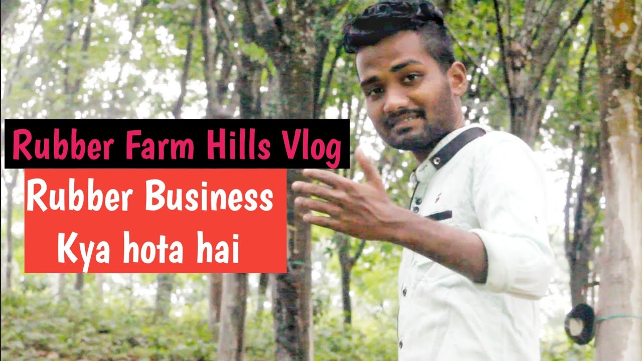 Amazing Natural Rubber Farm // Rubber Farm Hills Vlog Full Hd Video