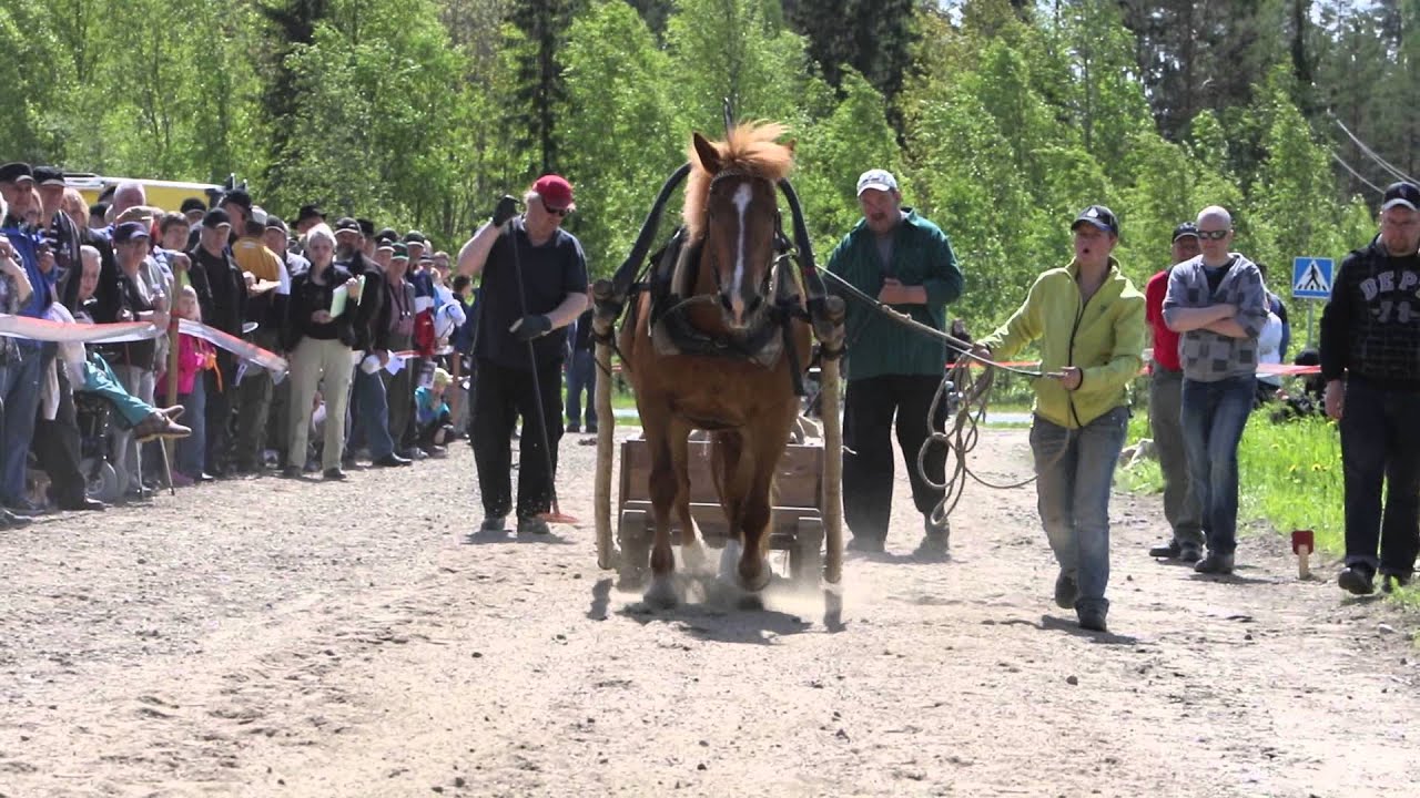 Pihan Alma ja Maria Juankosken vetokilpailuissa