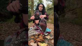Woodland earthing trees leaves mushrooms such a magical place 🦶🏼🍄🥰