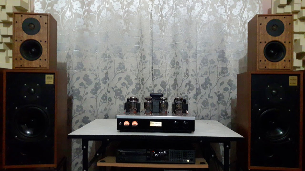 KT88 biasaudio 40Wrms 8 ohm/ch