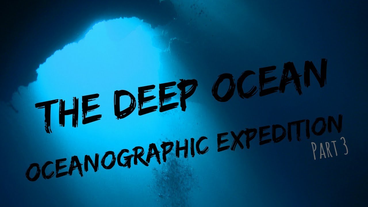 The DEEP OCEAN- A day in the life of a marine biology PhD| EXPEDITION ...