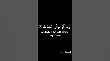 كروما#إذا الشمس كورة #سورة التكوير#  حامد علي زاده #القران الكريم#راحه_نفسيه# دون مؤثرات صوتية