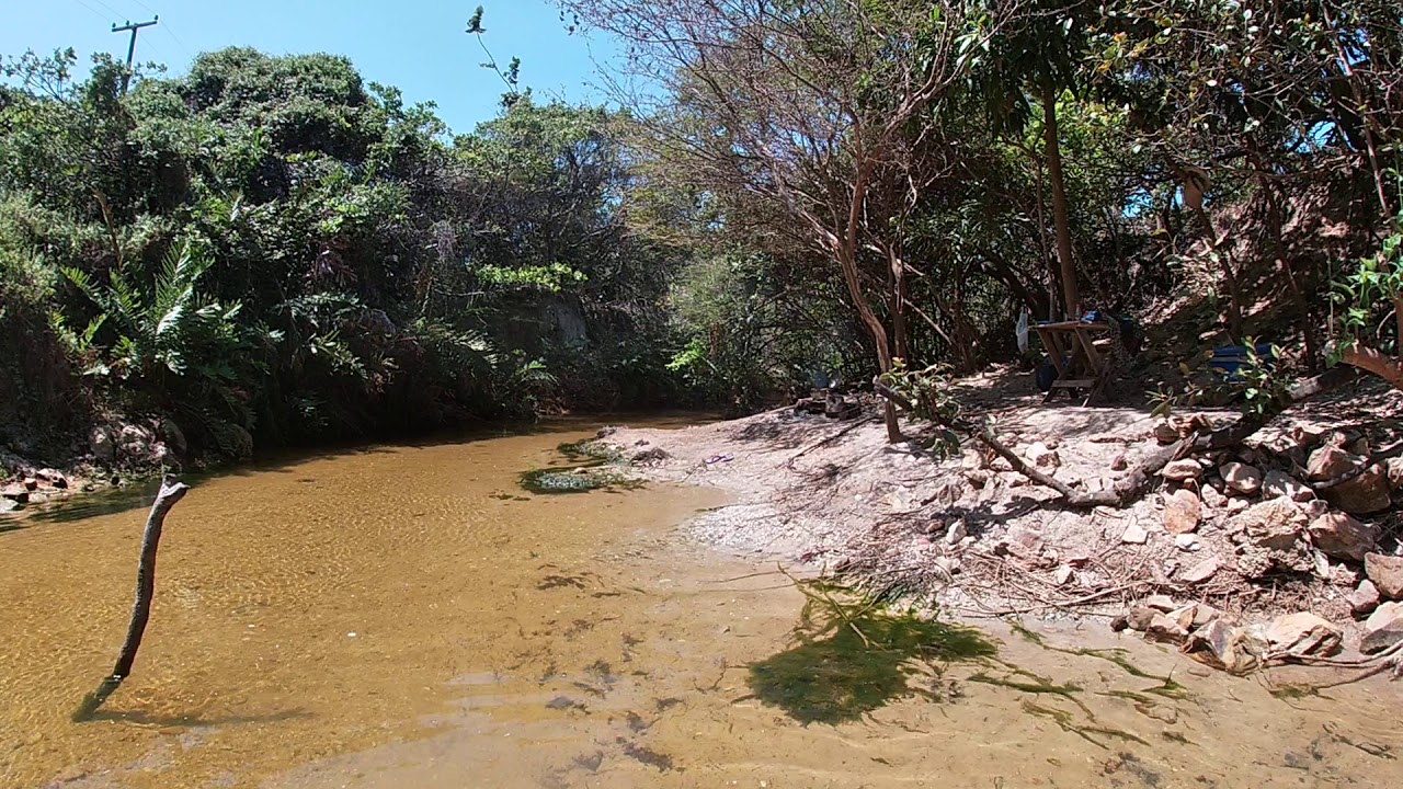 Terreno Pantanoso à Margem De Lagoas Ou Praias
