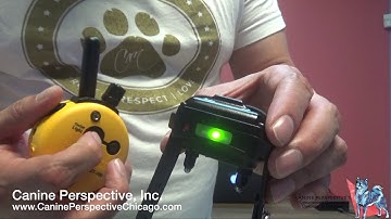 E-Collar Technologies E-Collar Tutorial: ET-300 Buttons, Functions, And How To Adjust Boost Setting