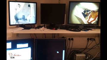 Controlling cursor trajectory with brain activity